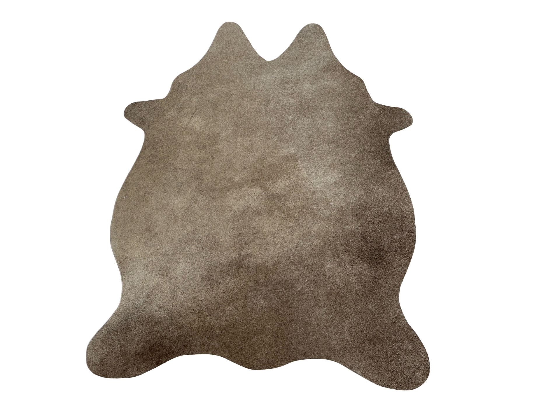 Hovädzia predložka mini 5