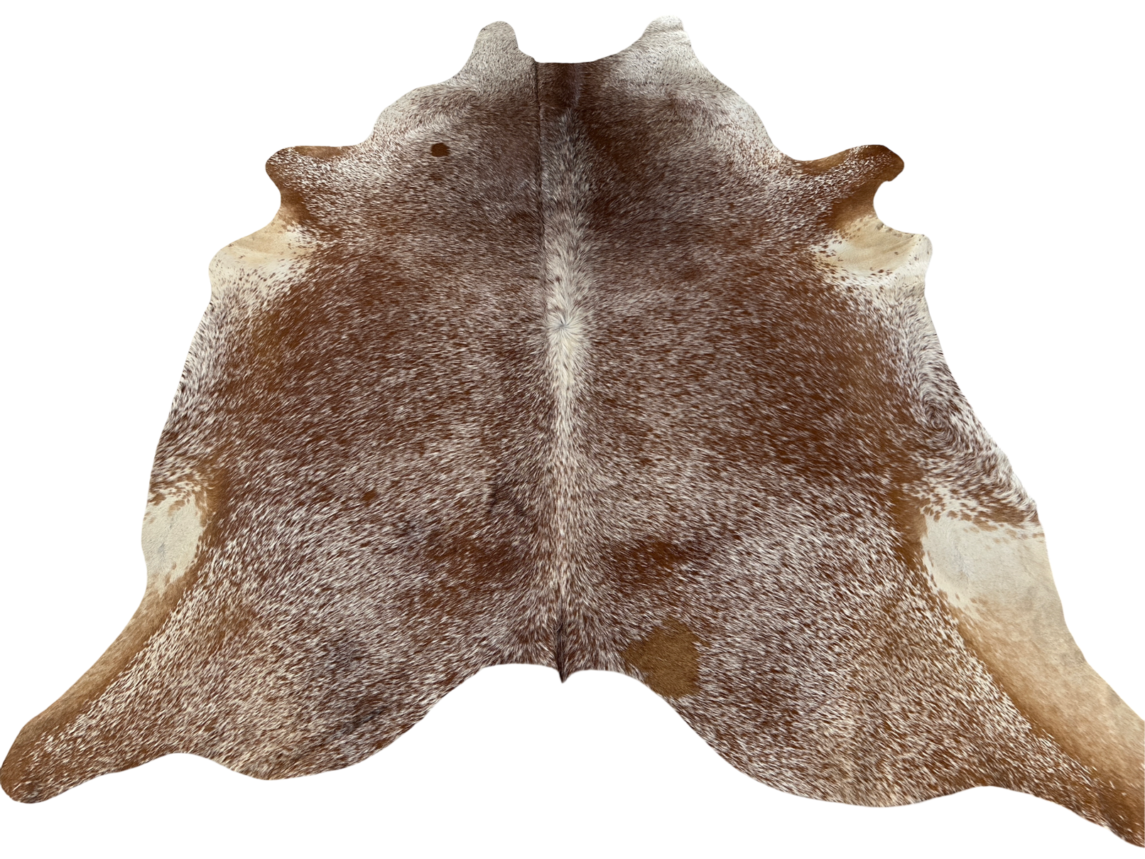 Koberec, hovädzia koža 3,7 m2, soľ a  korenie 103