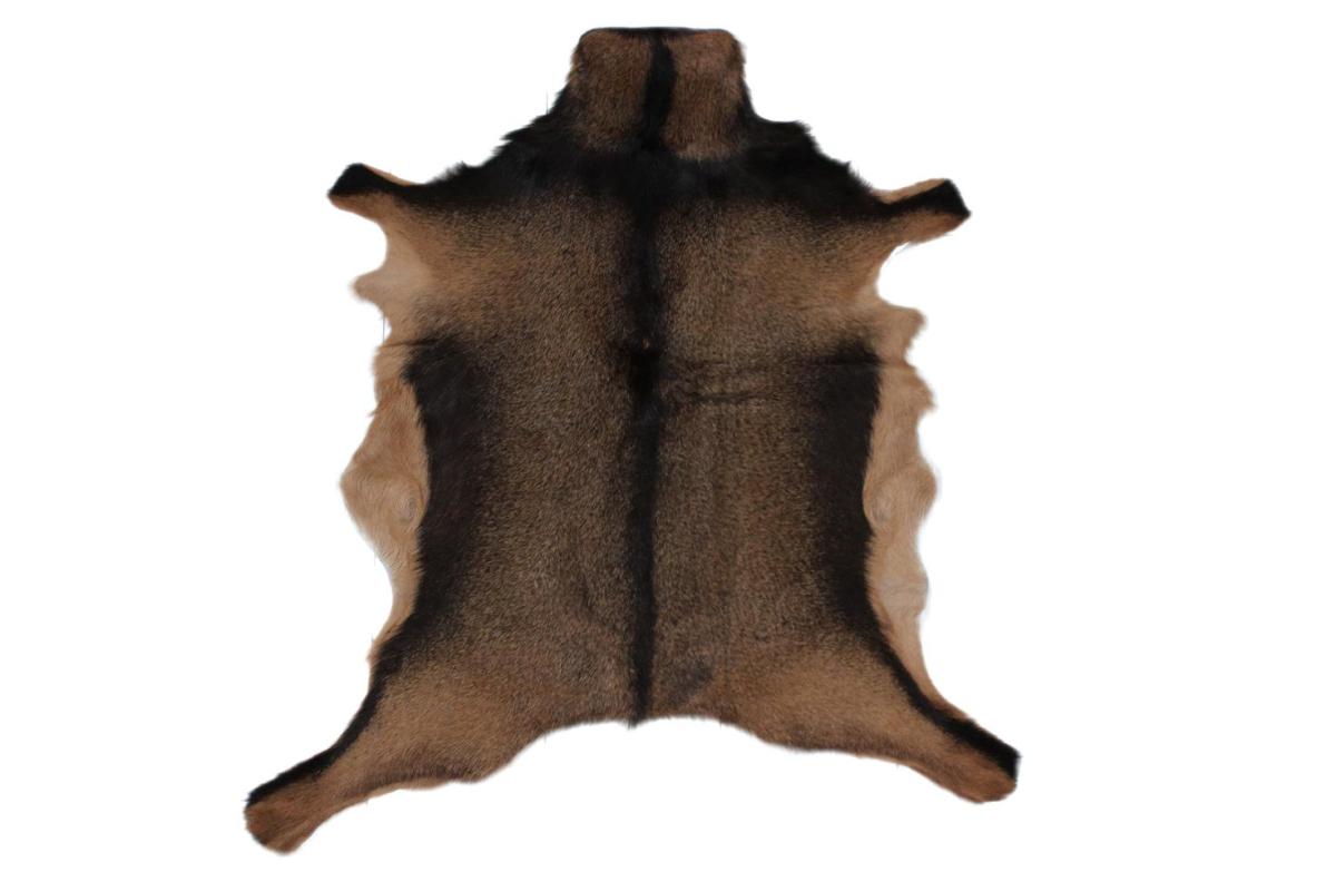 Předložka z kozí kůže 35