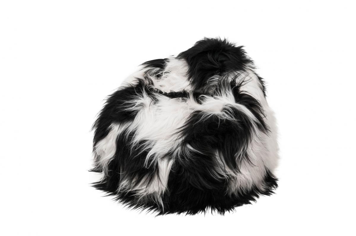 Sedací pytel - bean bag - bíločerný, dlouhý chlup