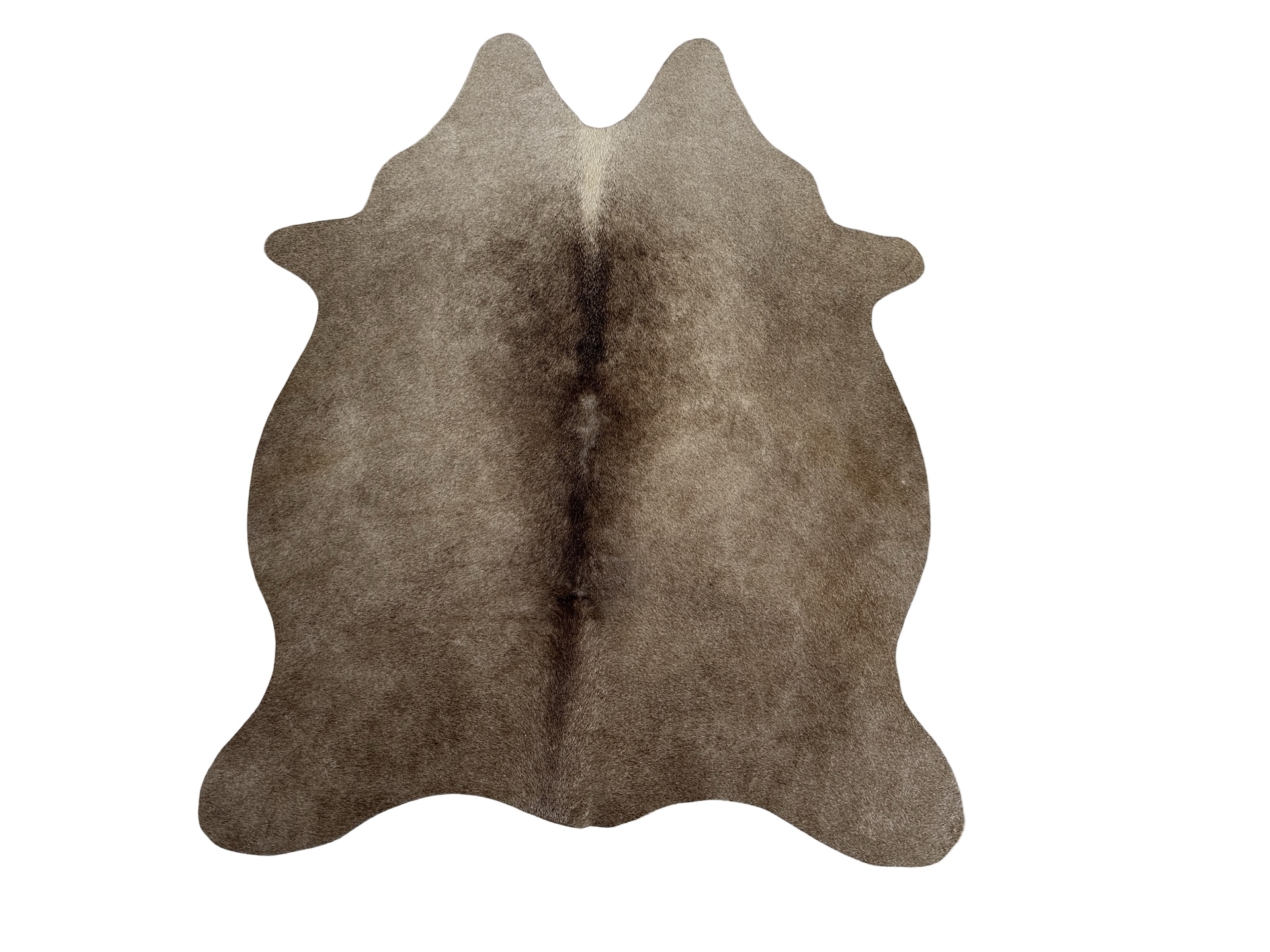 Hovädzia predložka mini 6