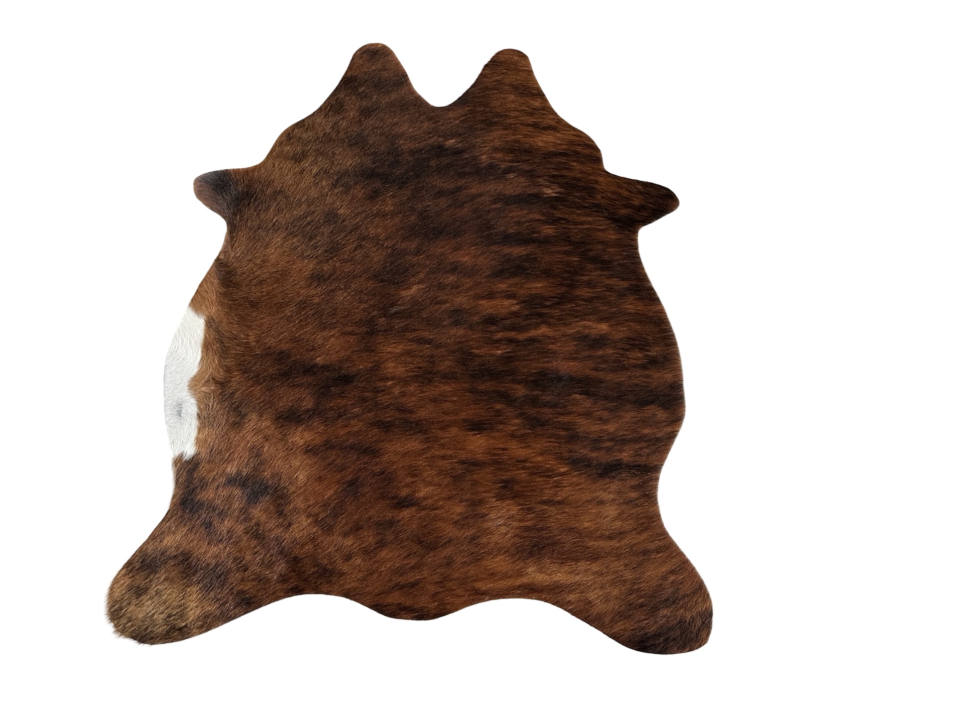 Hovädzia predložka mini 11