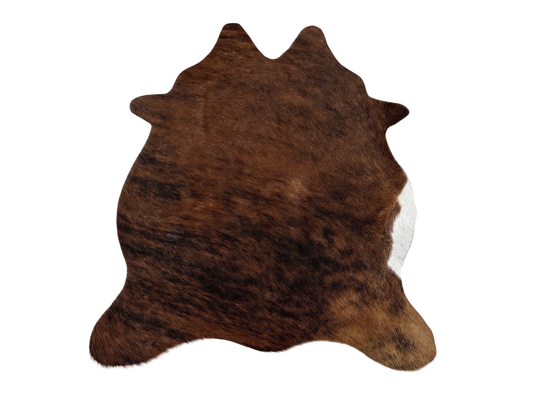 Hovädzia predložka mini 12