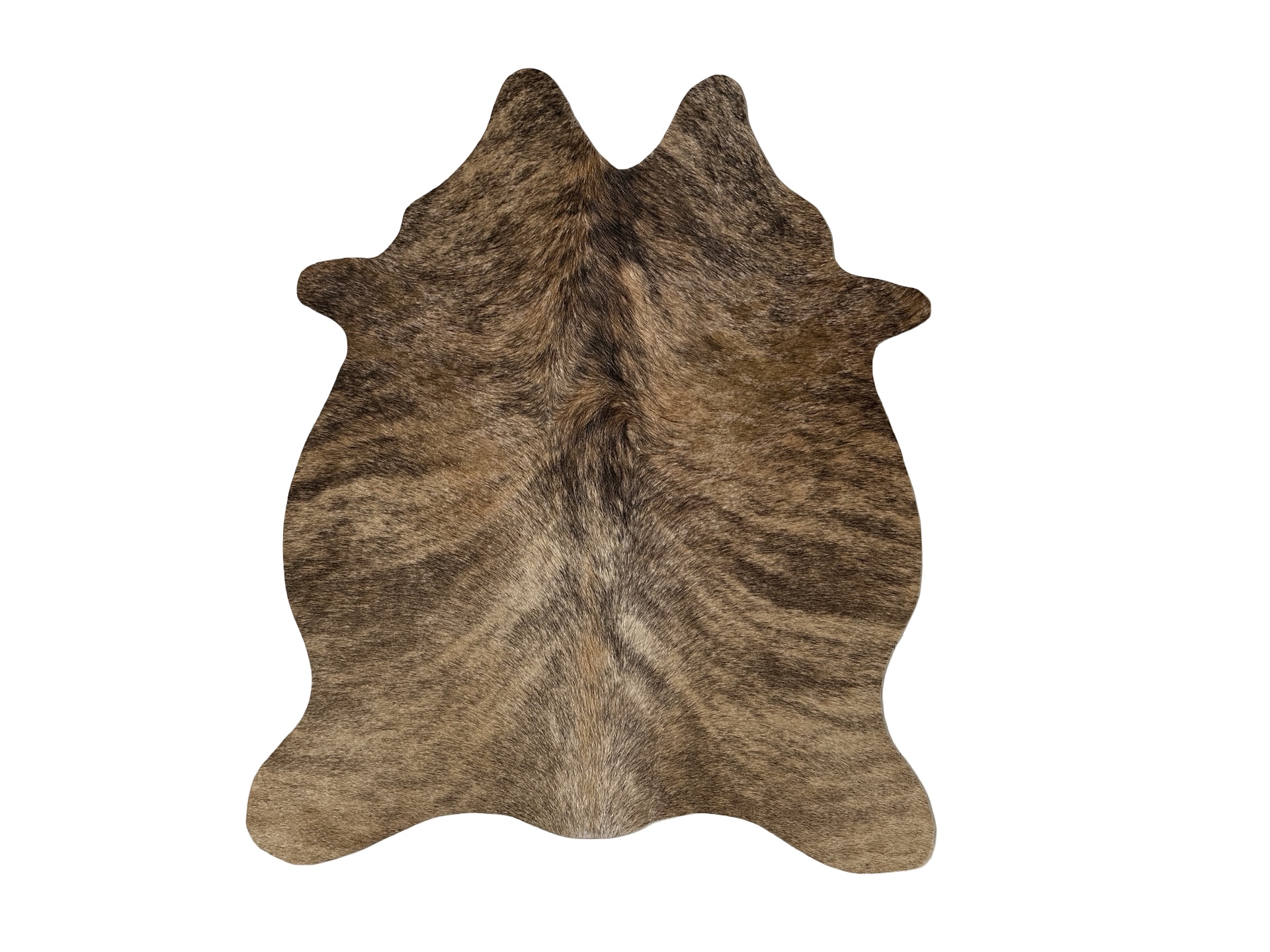 Hovädzia predložka mini 10