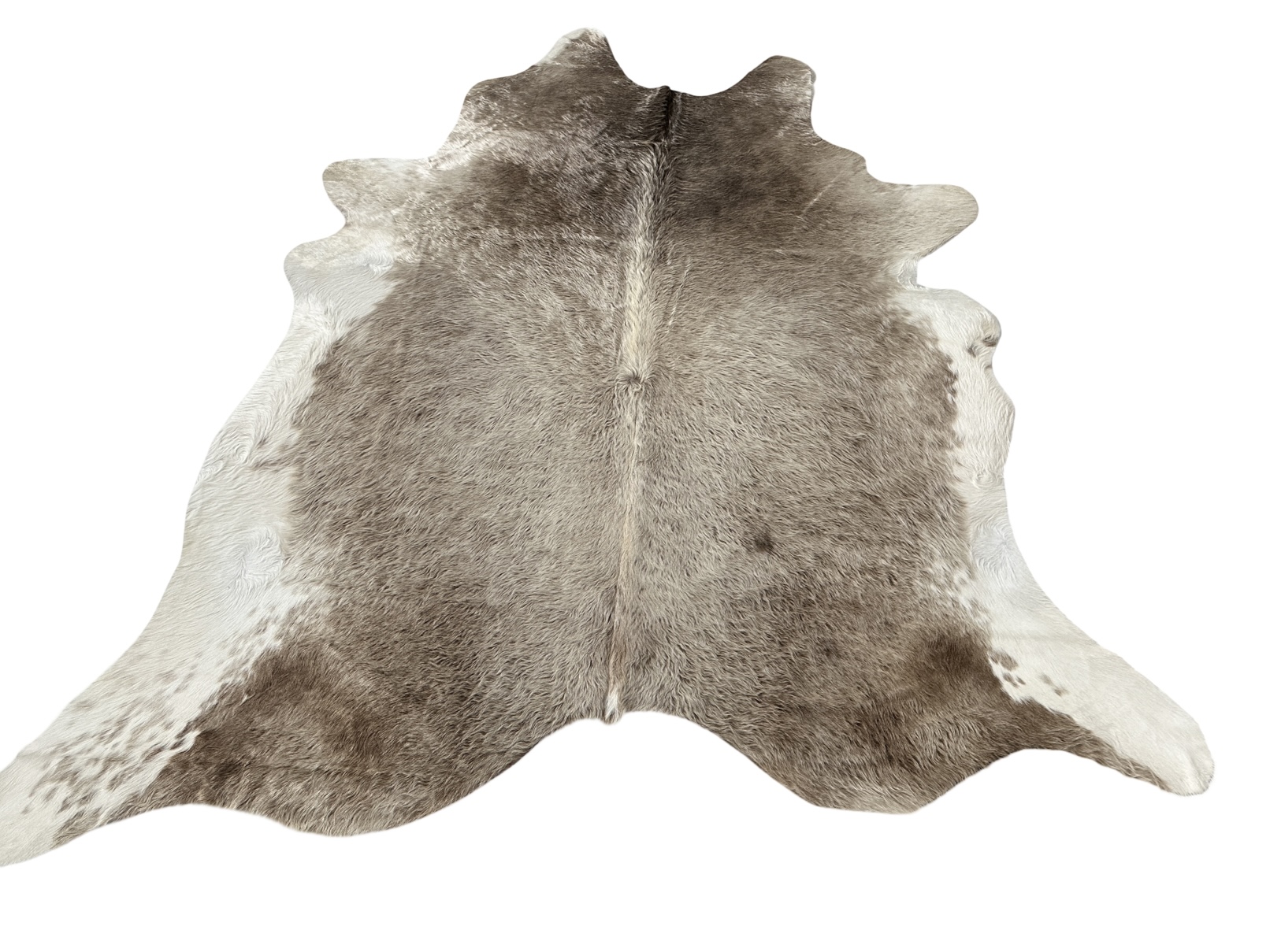 Dekorační hovězí kůže 3,4 m2  champagne 099