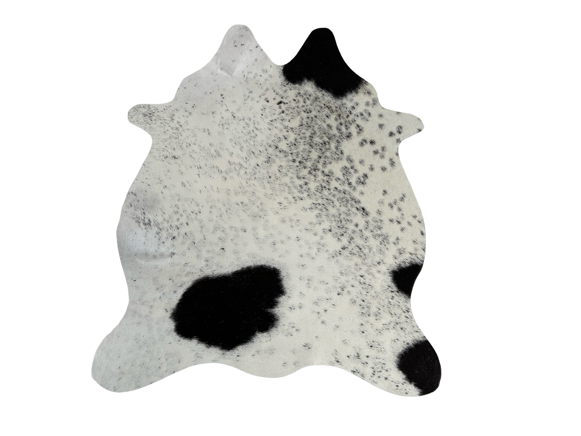 Hovädzia predložka mini 11 (Kopírovat) (Kopírovat) (Kopírovat) (Kopírovat)