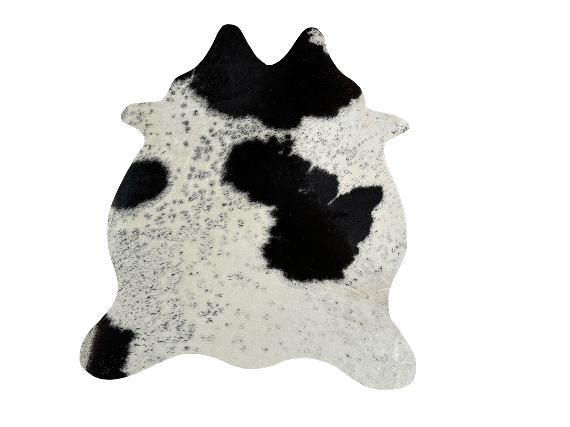 Hovädzia predložka mini 15