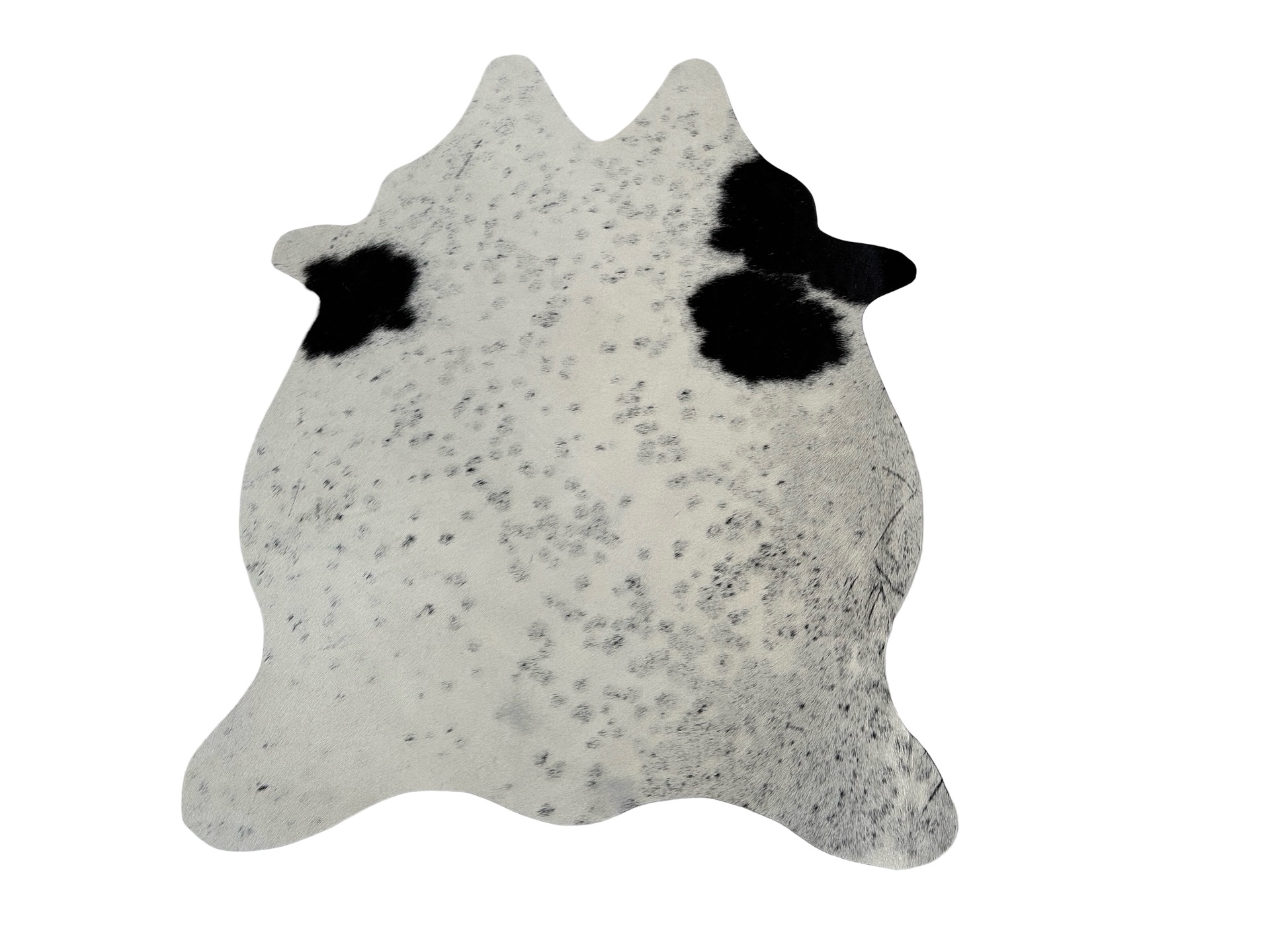 Hovädzia predložka mini 14