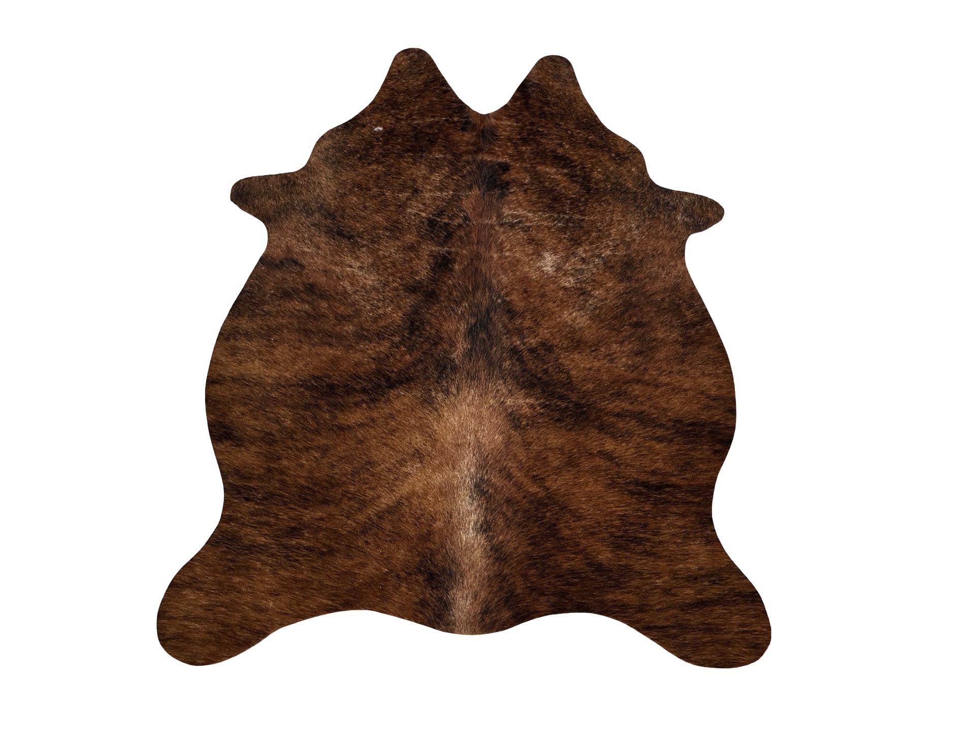 Hovädzia predložka mini 19